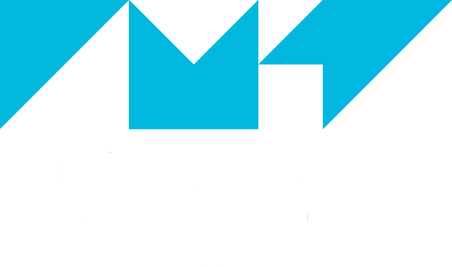 IMT Atlantique